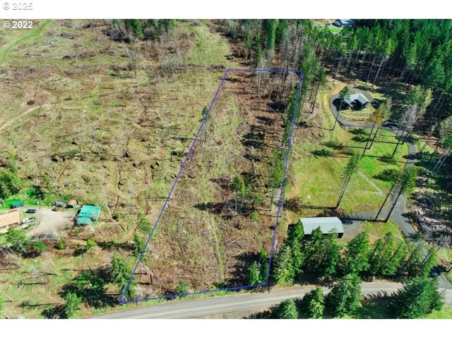 a view of a yard with plants