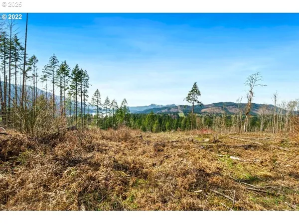 $229,000 | Kelly-henke Rd Homevalley Wa 98648, Stevenson, WA 98648