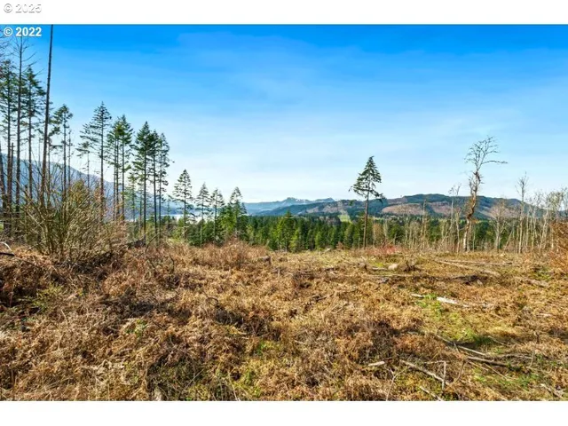 a view of a lake with a big yard