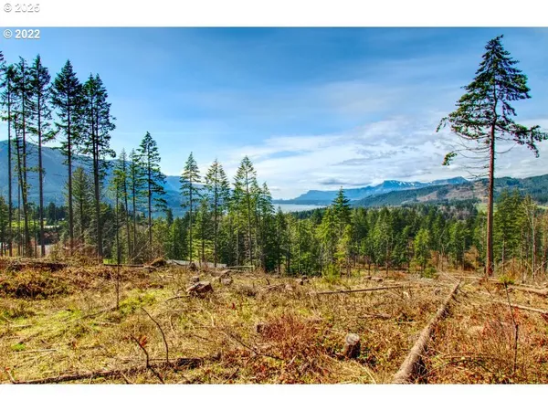 $229,000 | Kelly-henke Rd Homevalley Wa 98648, Stevenson, WA 98648