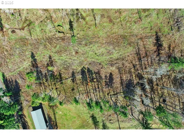 a view of outdoor space and garden