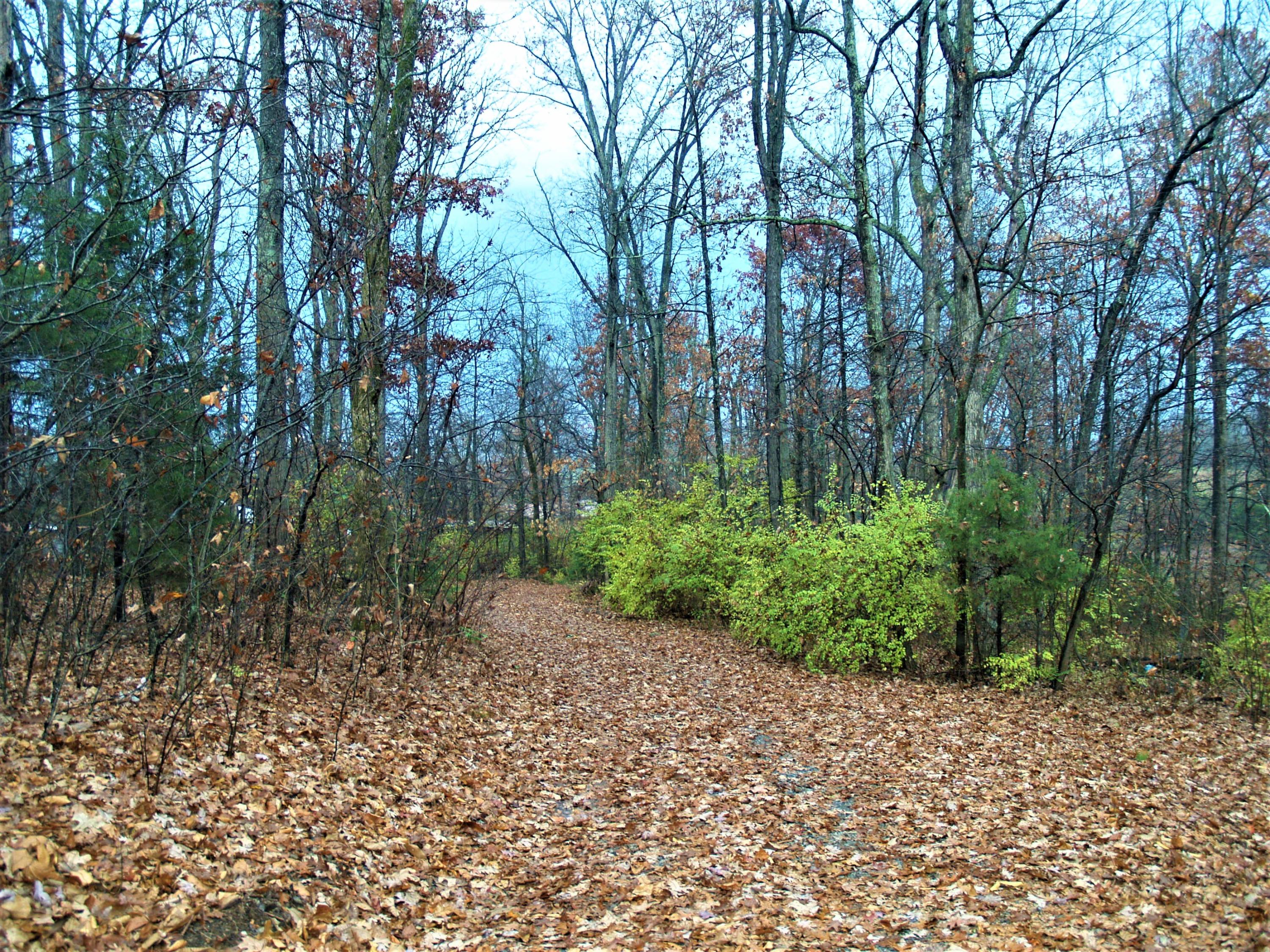 1040 Kirk Road Greenback, TN 37742 - Photo 8 of 29 P1012468 (2)