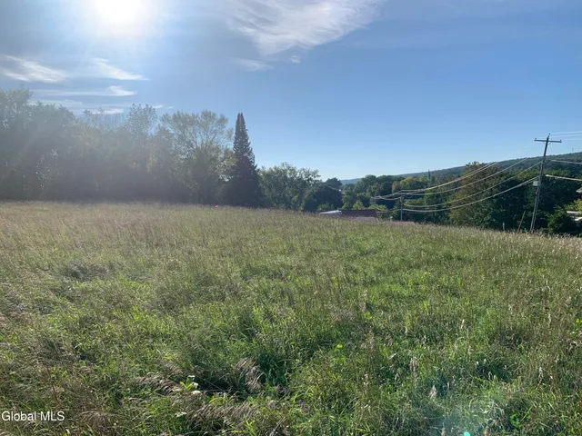 $142,000 | L34.111 Western Turnpike, Esperance, NY 12066