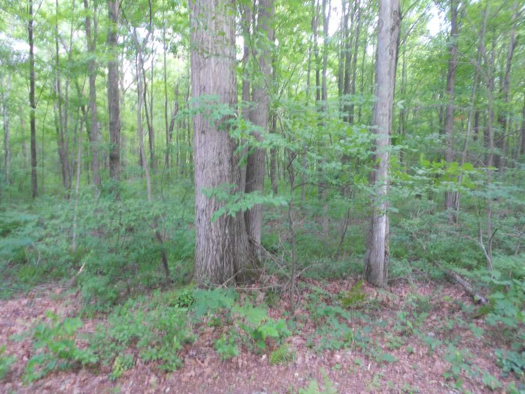 3140 South East County Line Road Shepherd, MI 48883 - Photo 34 of 38 1848769-33.JPG