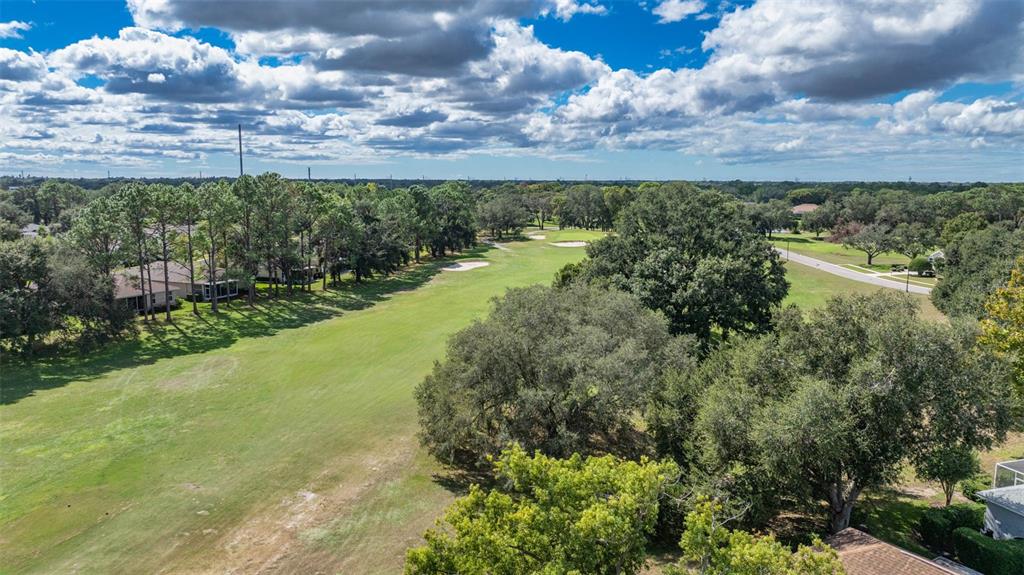 14462 Tamarind Loop Spring Hill, FL 34609 - Photo 24 of 28 a view of a lake with a yard