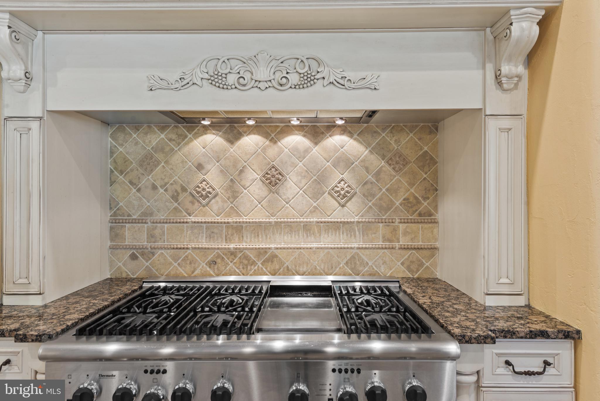 7810 Ruxwood Road Ruxton, MD 21204 - Photo 36 of 94 Commercial grade range