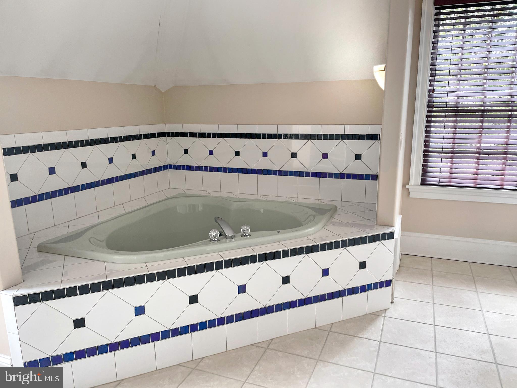 7810 Ruxwood Road Ruxton, MD 21204 - Photo 69 of 94 Soaking tub room with heated floor