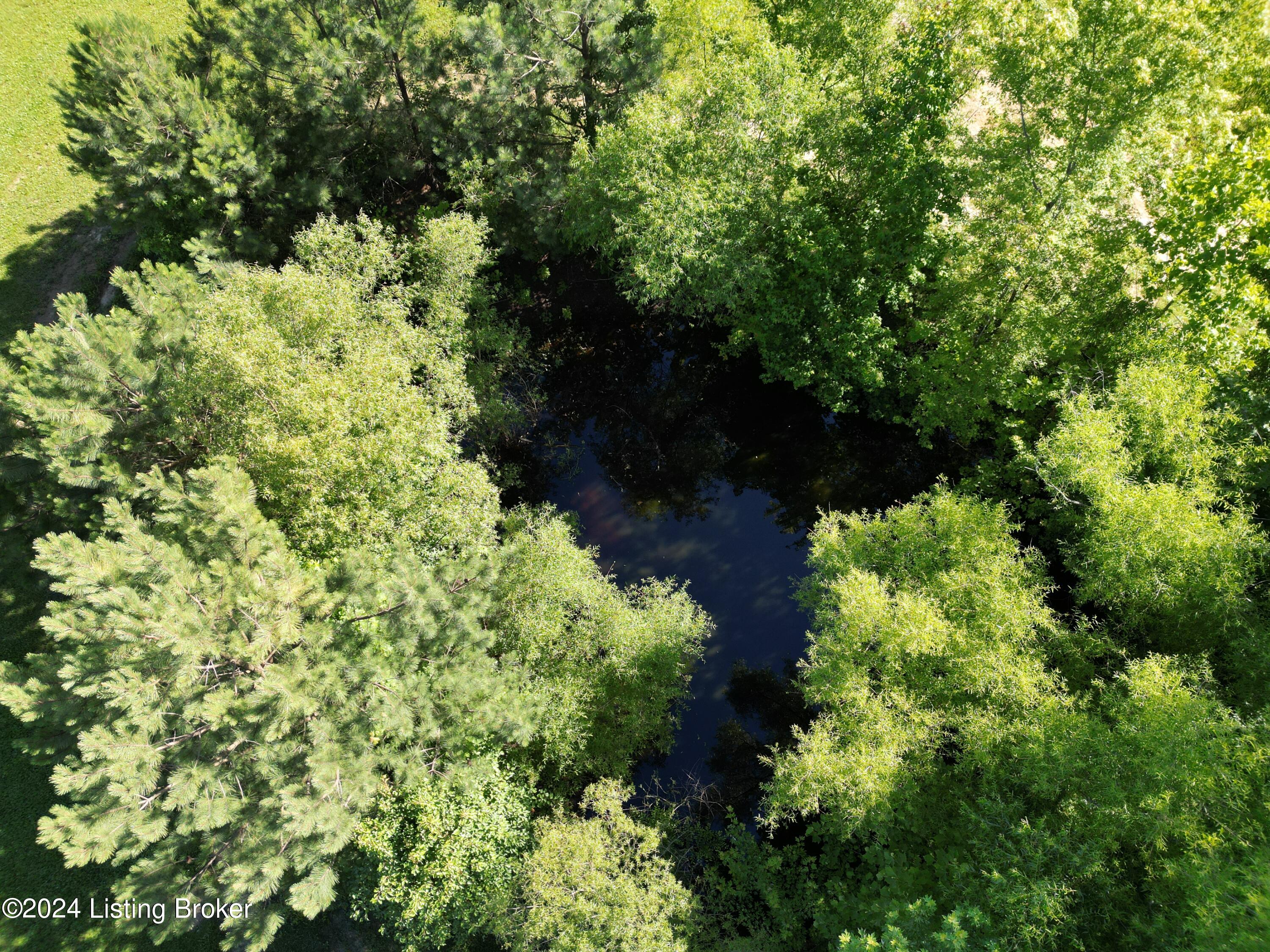 1740 J D Hudson Road Caneyville, KY 42721 - Photo 88 of 88 DJI_0186