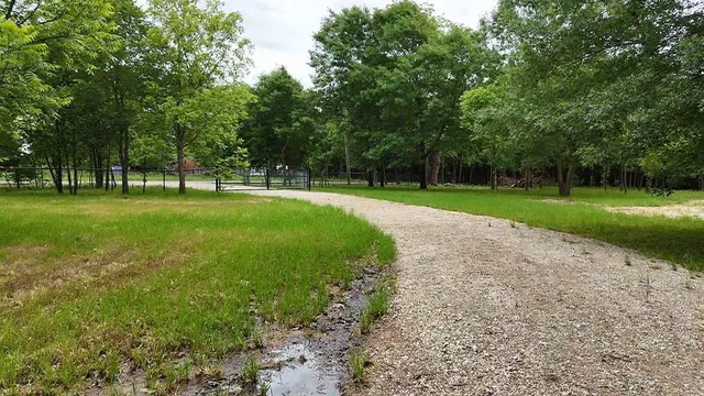 a view of backyard with trampoline
