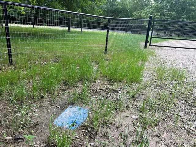 a view of stairs and trees