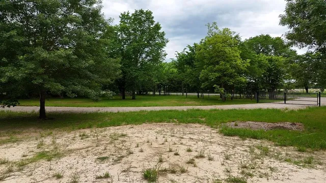 a view of a trees with a big yard
