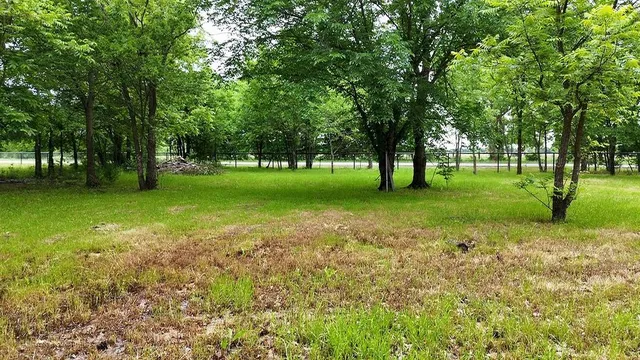 a big yard with lots of green space and trees