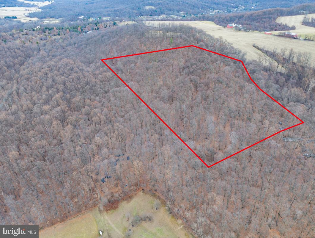 a view of a dry area in the room