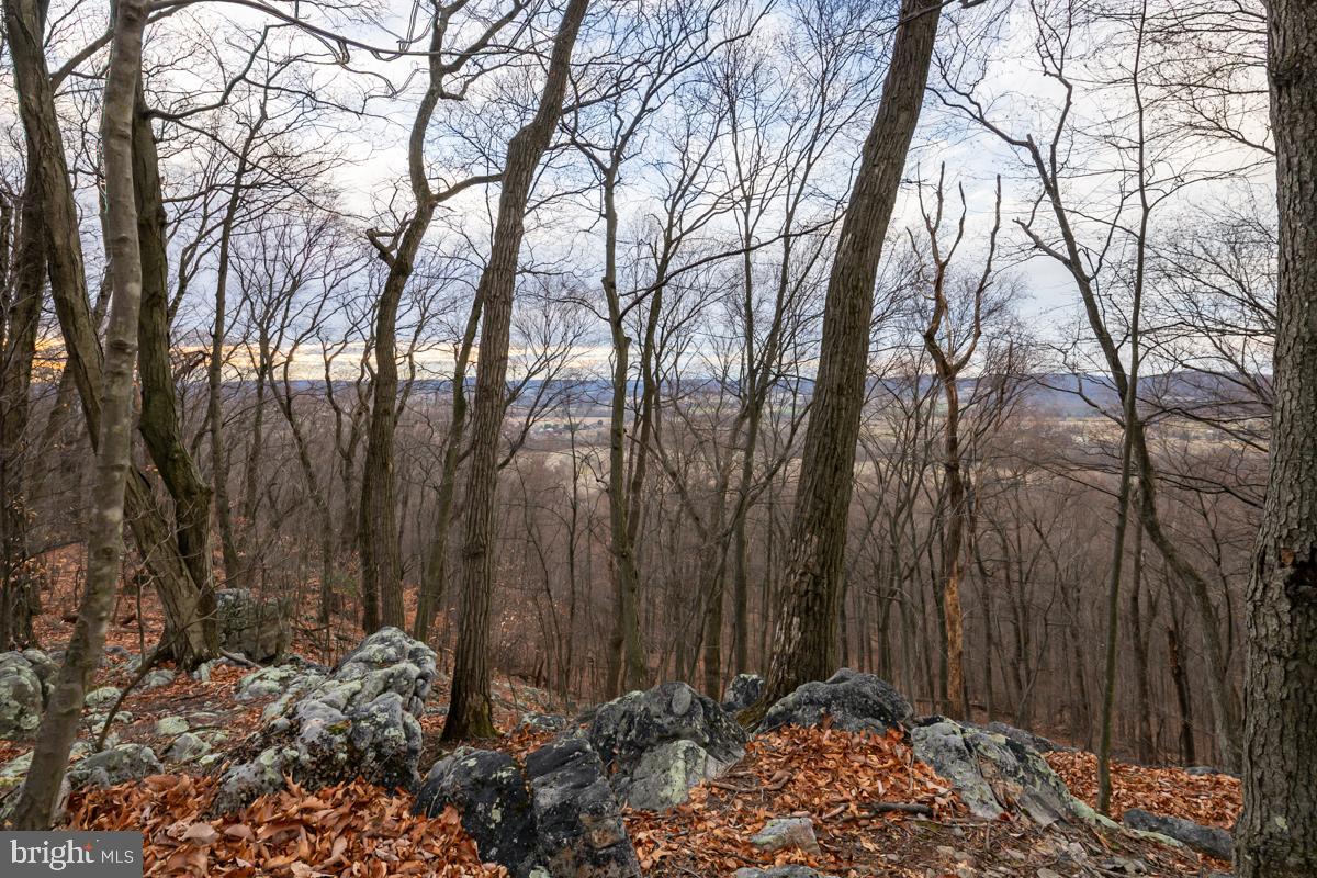 0 Sheep Hill Road Oley, PA 19547 - Photo 11 of 16 a view of backyard space
