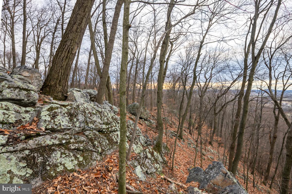 0 Sheep Hill Road Oley, PA 19547 - Photo 12 of 16