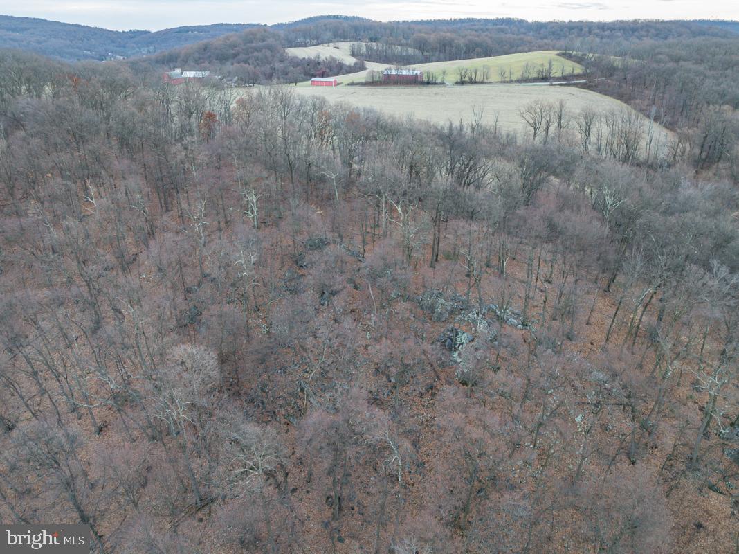 0 Sheep Hill Road Oley, PA 19547 - Photo 16 of 16 a view of a lake with mountains in the background