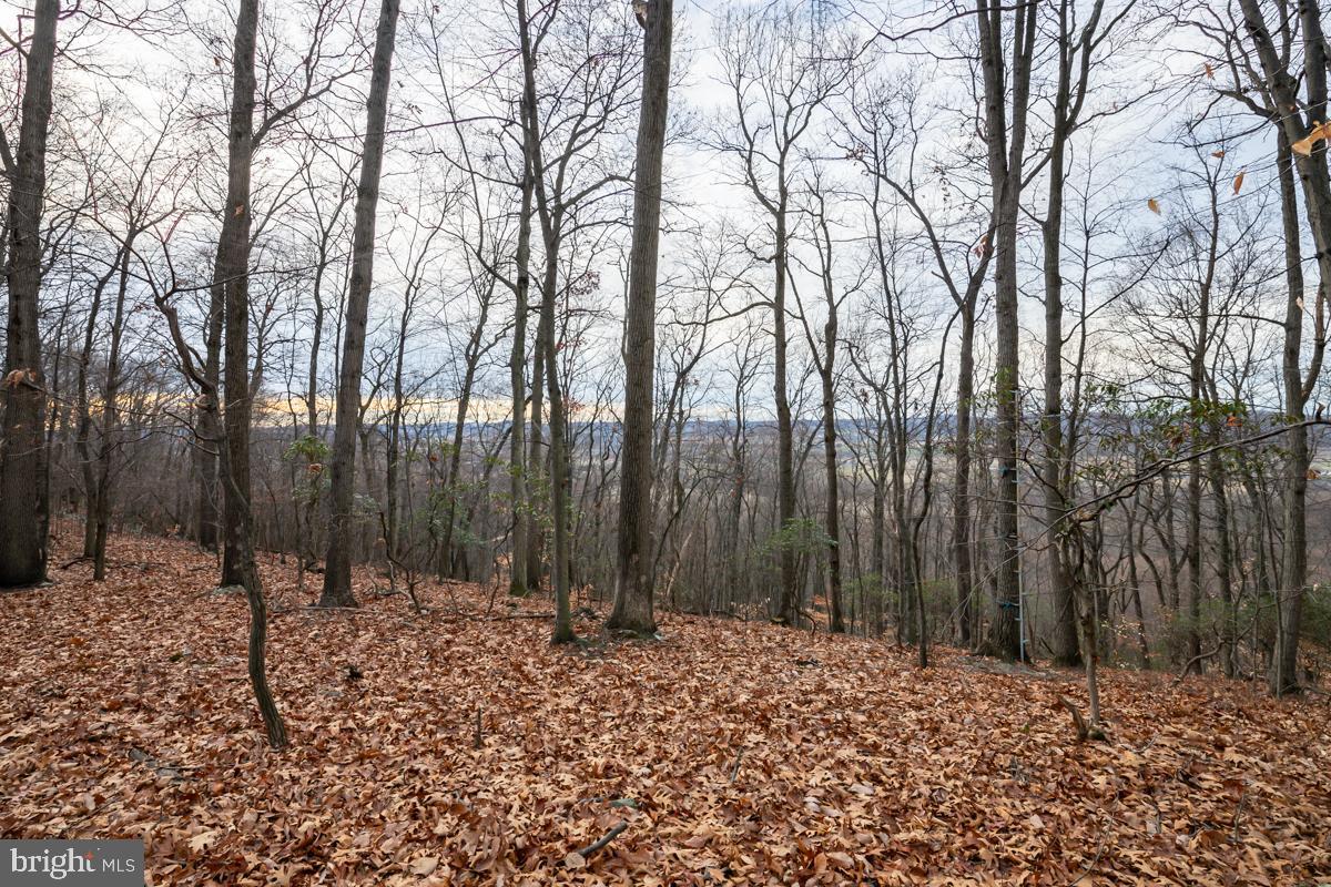 0 Sheep Hill Road Oley, PA 19547 - Photo 9 of 16 a backyard of a house with lots of green space