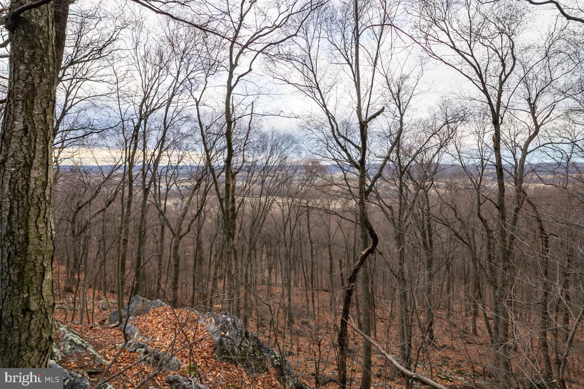 0 Sheep Hill Road Oley, PA 19547 - Photo 10 of 16