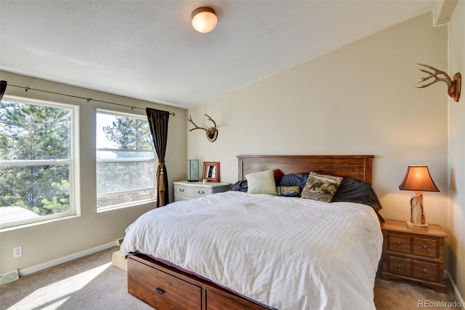1211 Bellows Road Hartsel, CO 80449 - Photo 29 of 40
