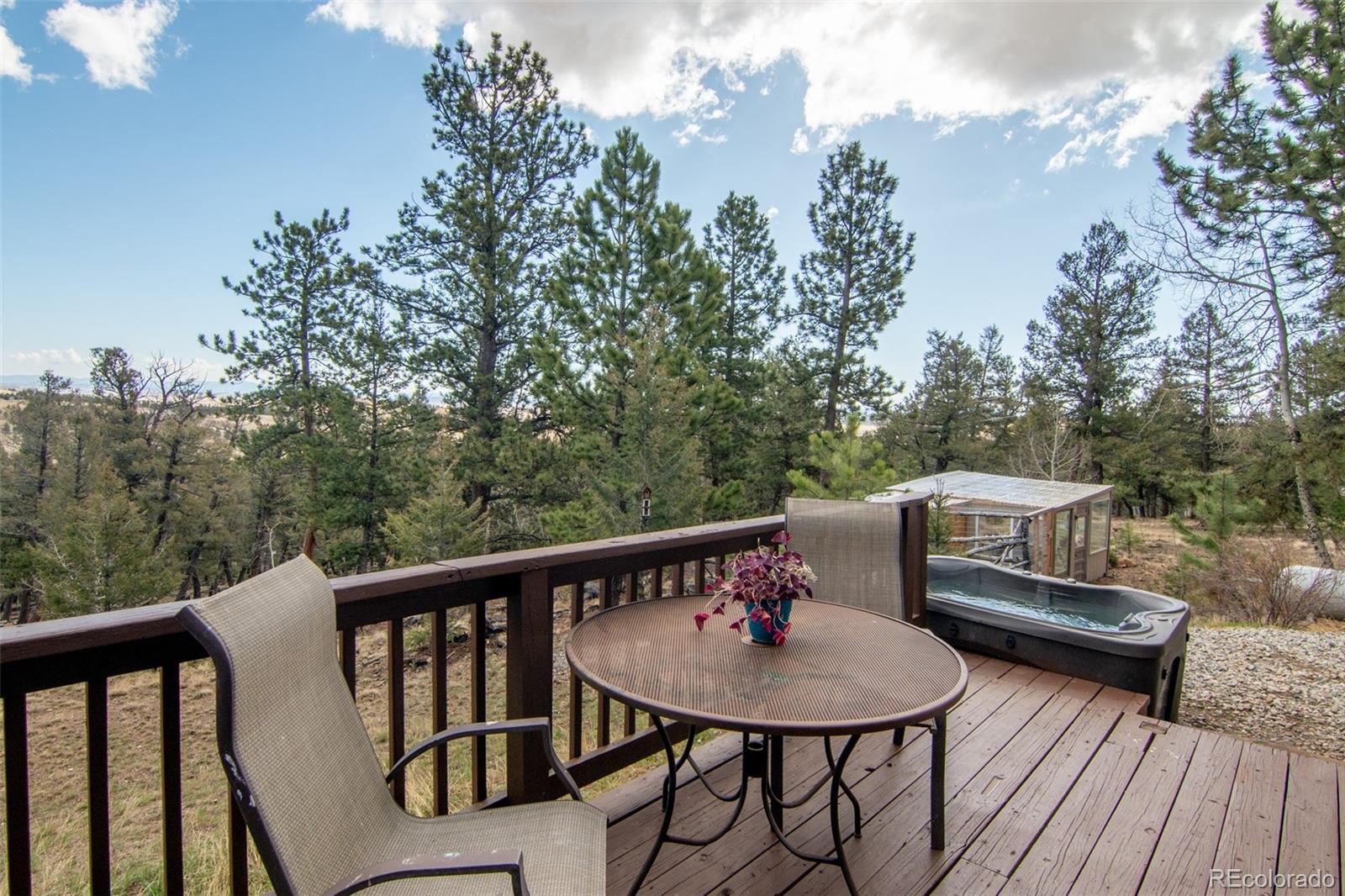 1211 Bellows Road Hartsel, CO 80449 - Photo 3 of 40