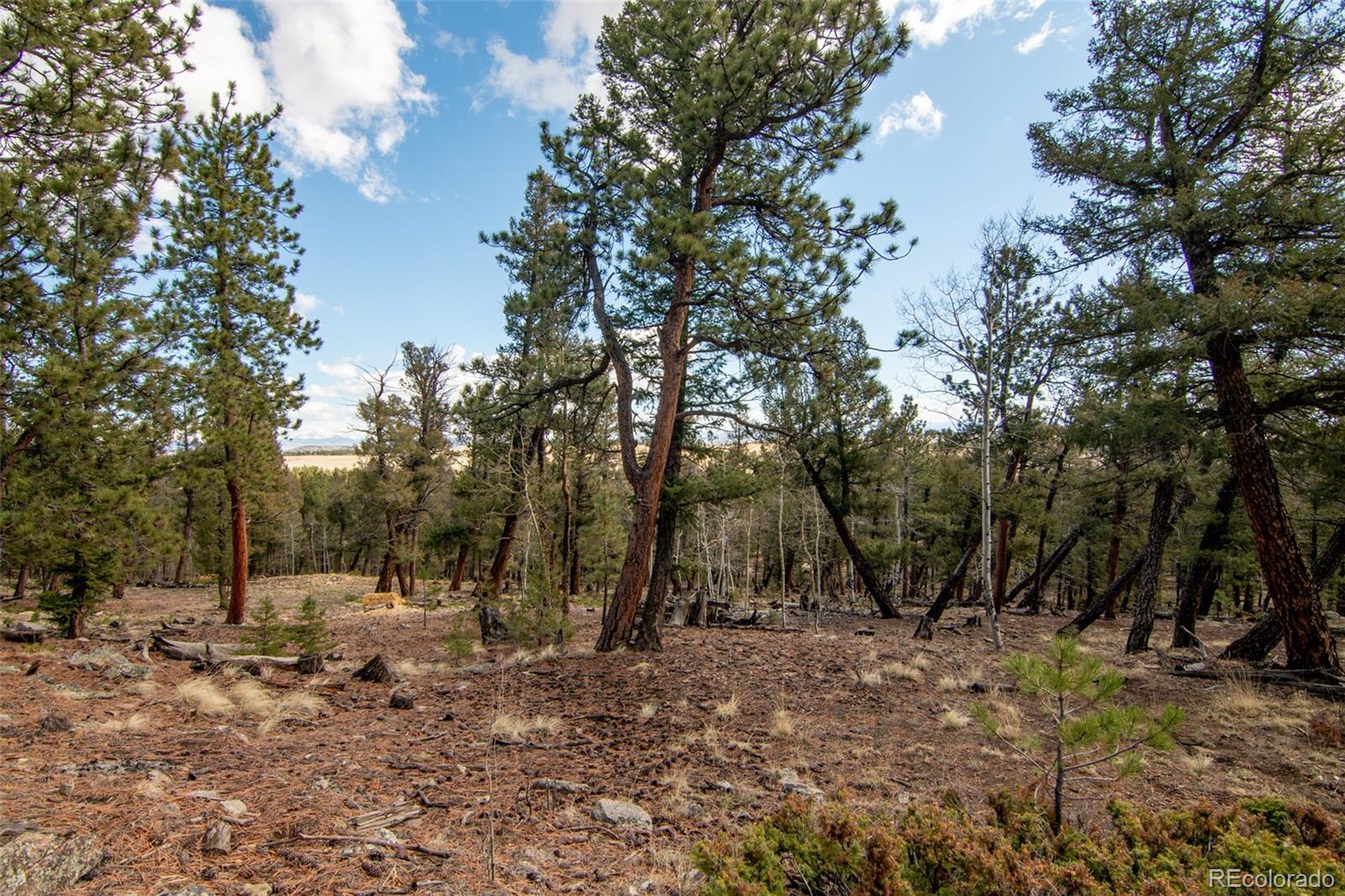 1211 Bellows Road Hartsel, CO 80449 - Photo 5 of 40