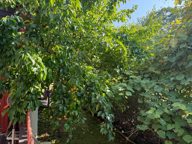 $599,000 | 364-367 Main Road, Islesboro, ME 04848