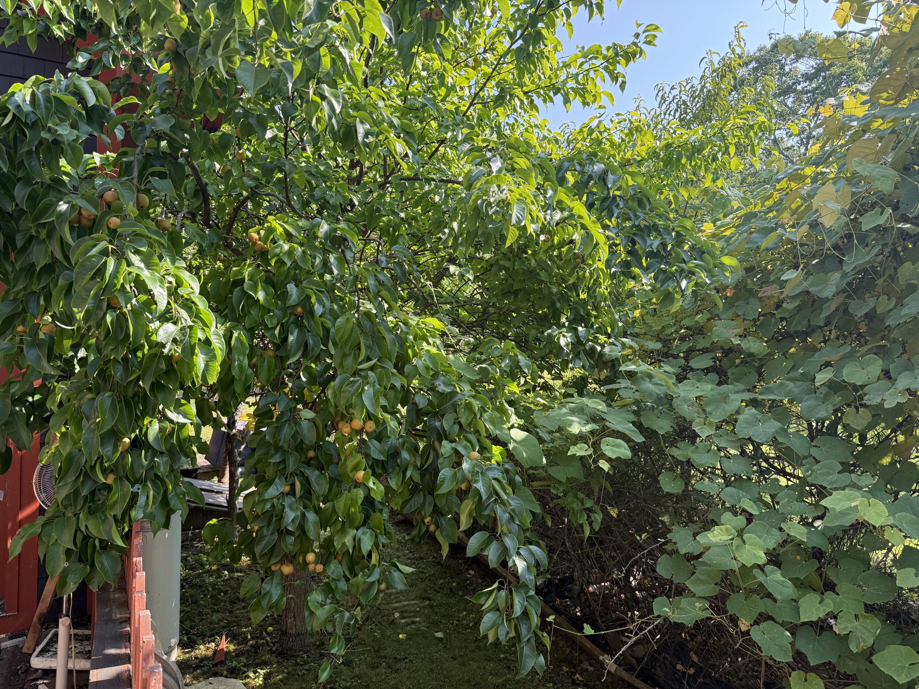 364-367 Main Road Islesboro, ME 04848 - Photo 18 of 25 2025-08-11 15.41.13