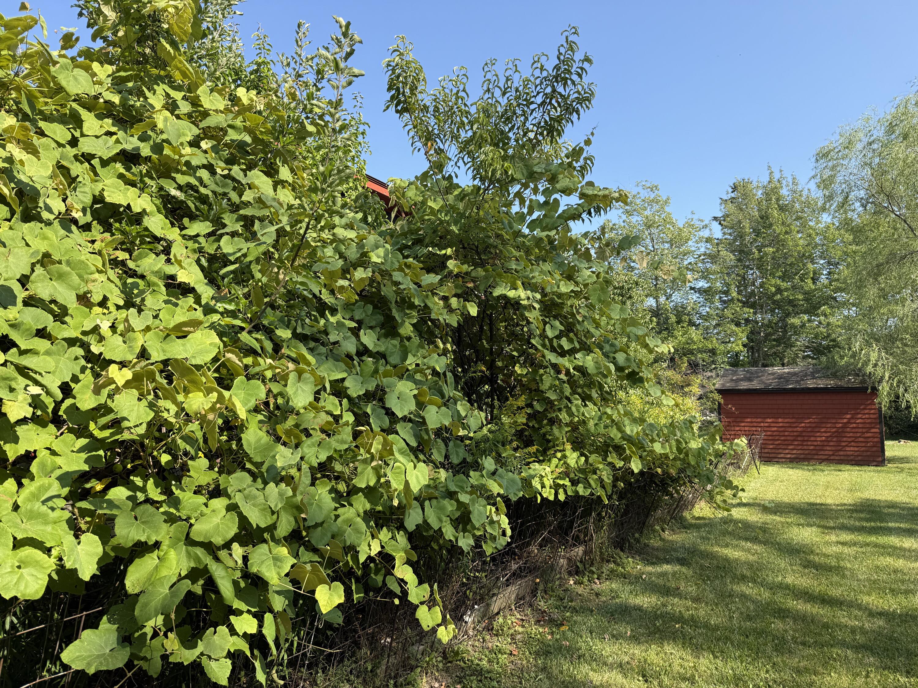 364-367 Main Road Islesboro, ME 04848 - Photo 19 of 25 2025-08-11 15.42.05