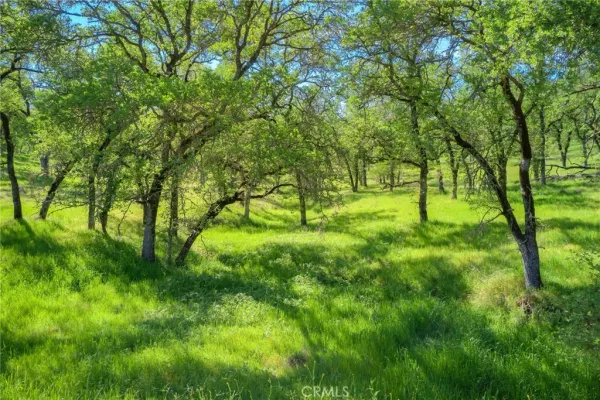 $49,000 | 0 Parham Road, Oroville, CA 95966