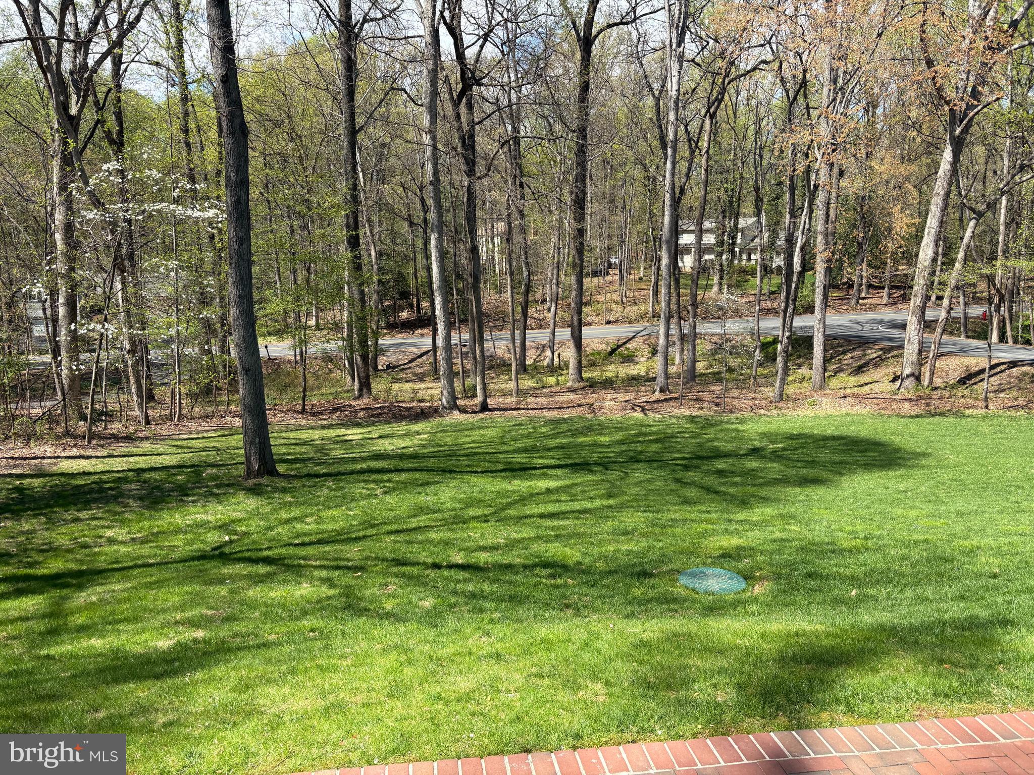 2623 Steeplechase Drive Reston, VA 20191 - Photo 55 of 69 Front yard