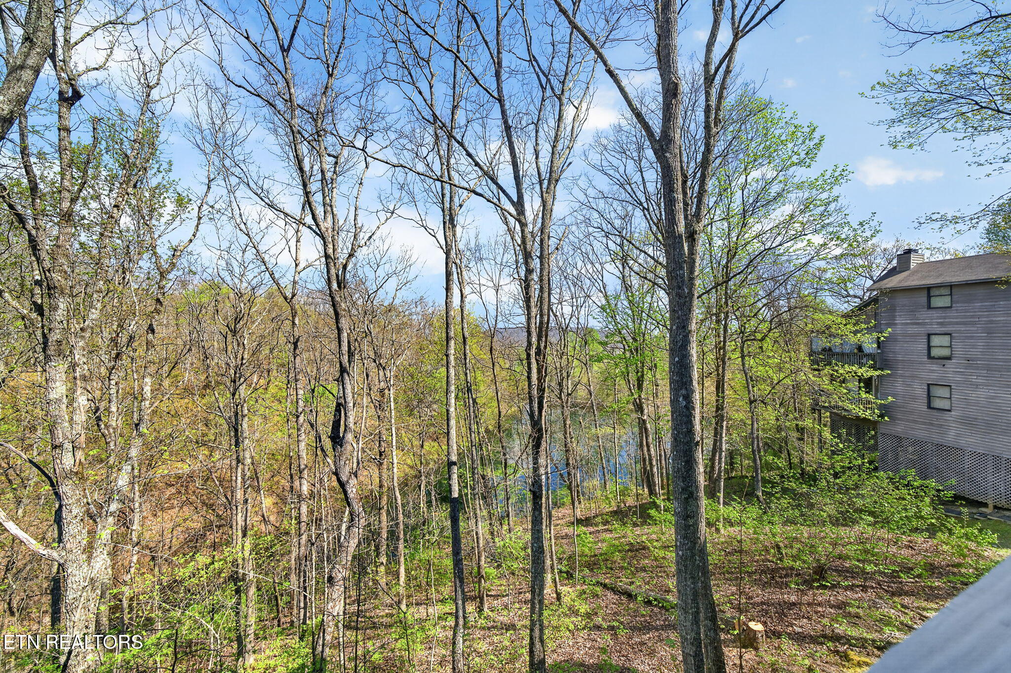 145 Moytoy Road, Unit 105 Crab Orchard, TN 37723 - Photo 10 of 29 18-web-or-mls-145 Moytoy Rd 105_089_TNPC