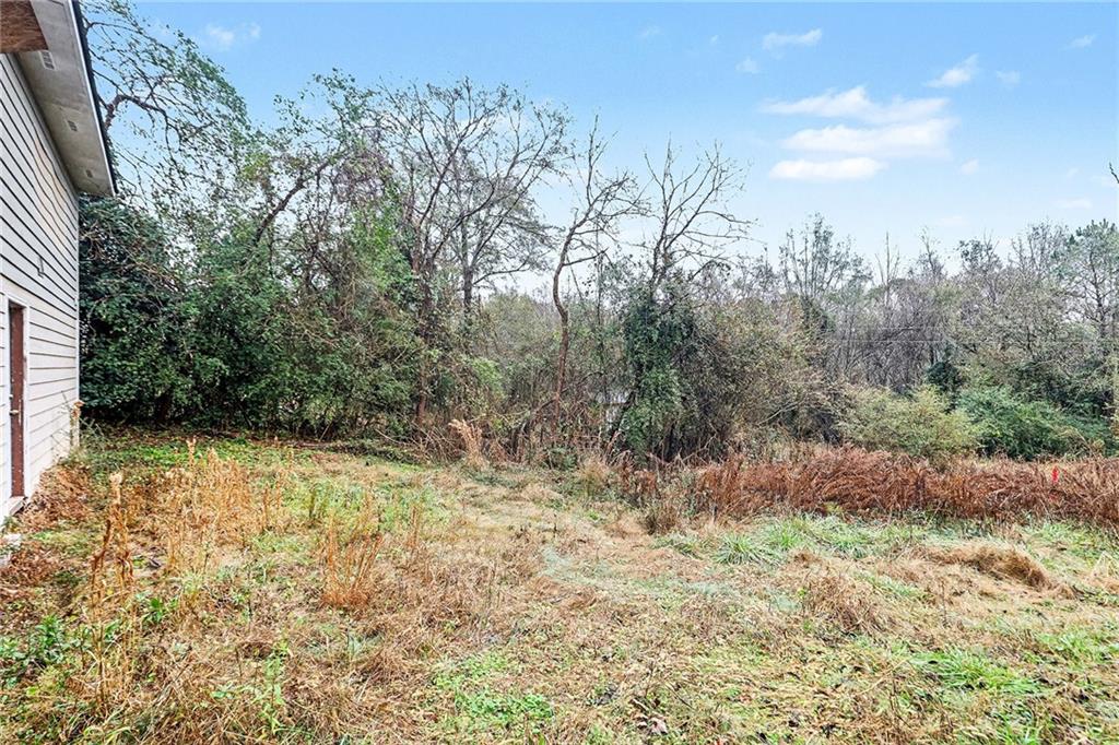 48 Maple Street Grantville, GA 30220 - Photo 24 of 26 a view of a yard with trees