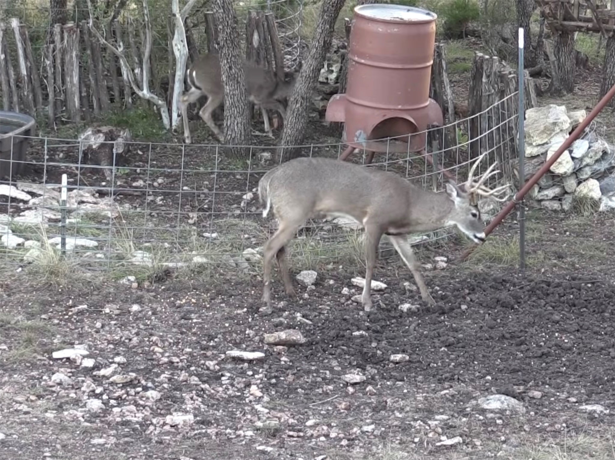 12391 SD 52000 Rocksprings, TX 78880 - Photo 11 of 48 a water fountain in the middle of a yard