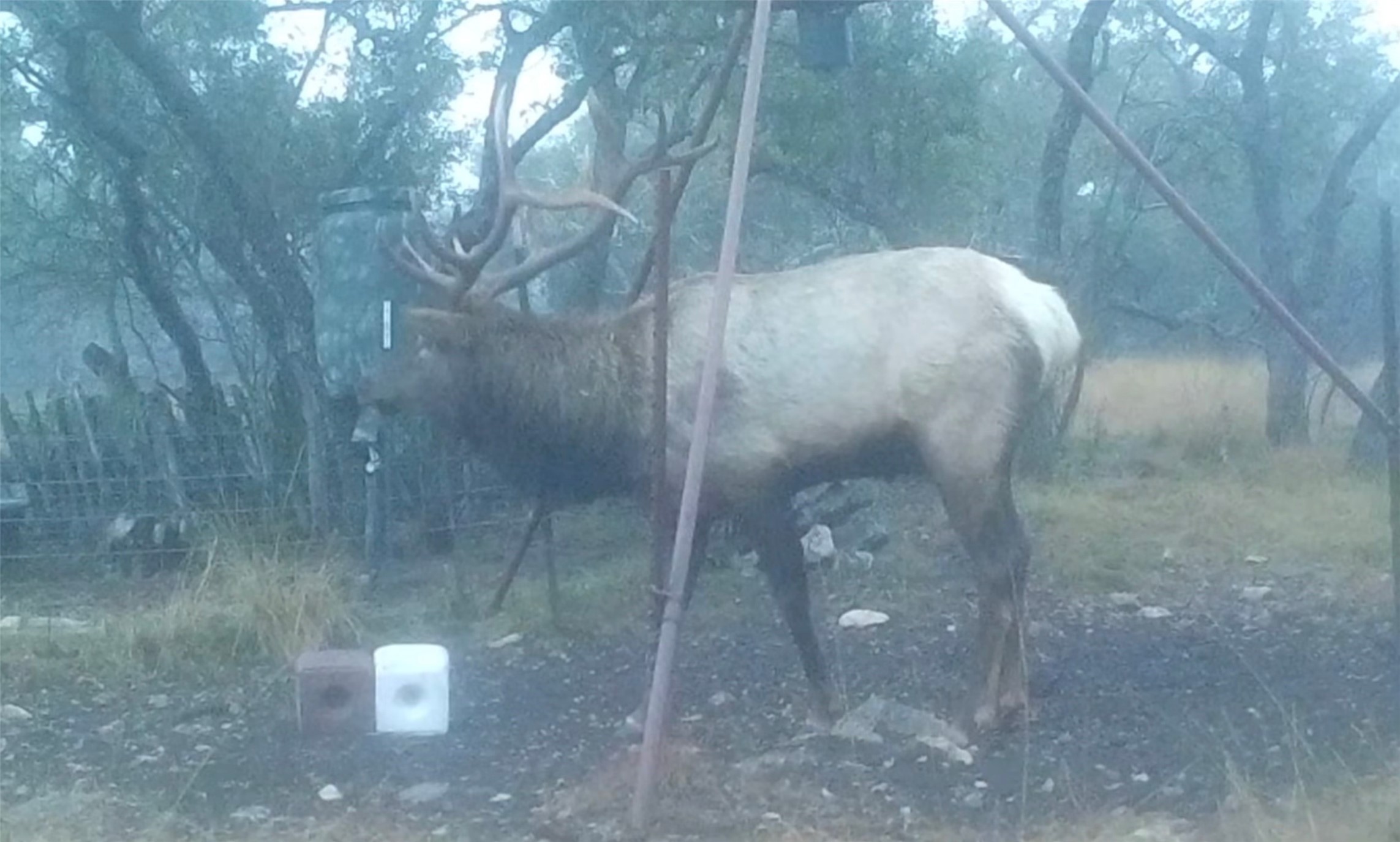 12391 SD 52000 Rocksprings, TX 78880 - Photo 18 of 48 a view of a bathroom