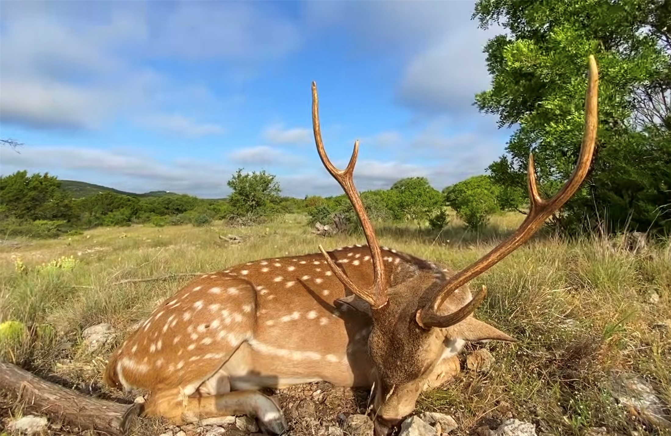 12391 SD 52000 Rocksprings, TX 78880 - Photo 22 of 48 a view of a lake in the backyard of a house