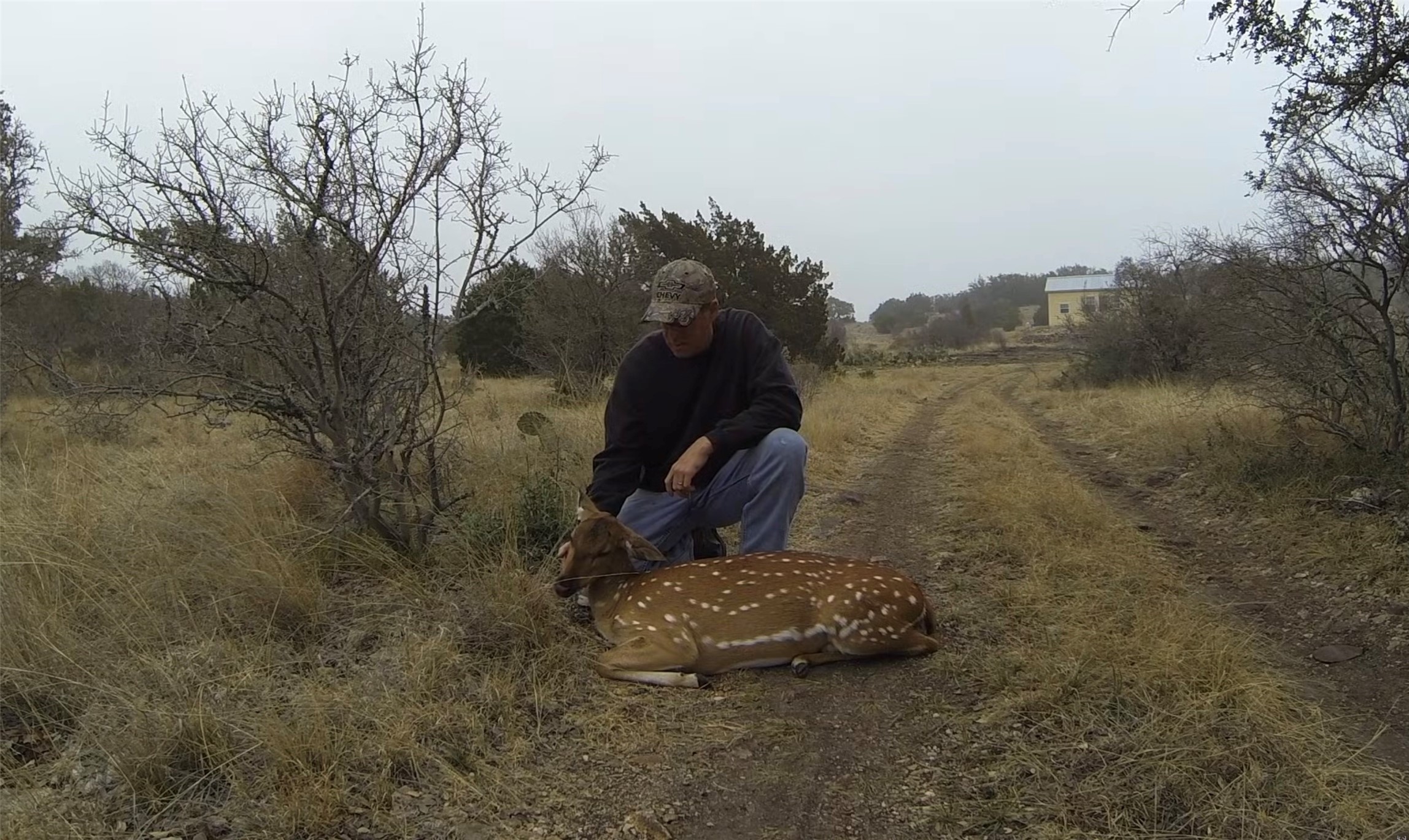 12391 SD 52000 Rocksprings, TX 78880 - Photo 25 of 48 a view of a outdoor space