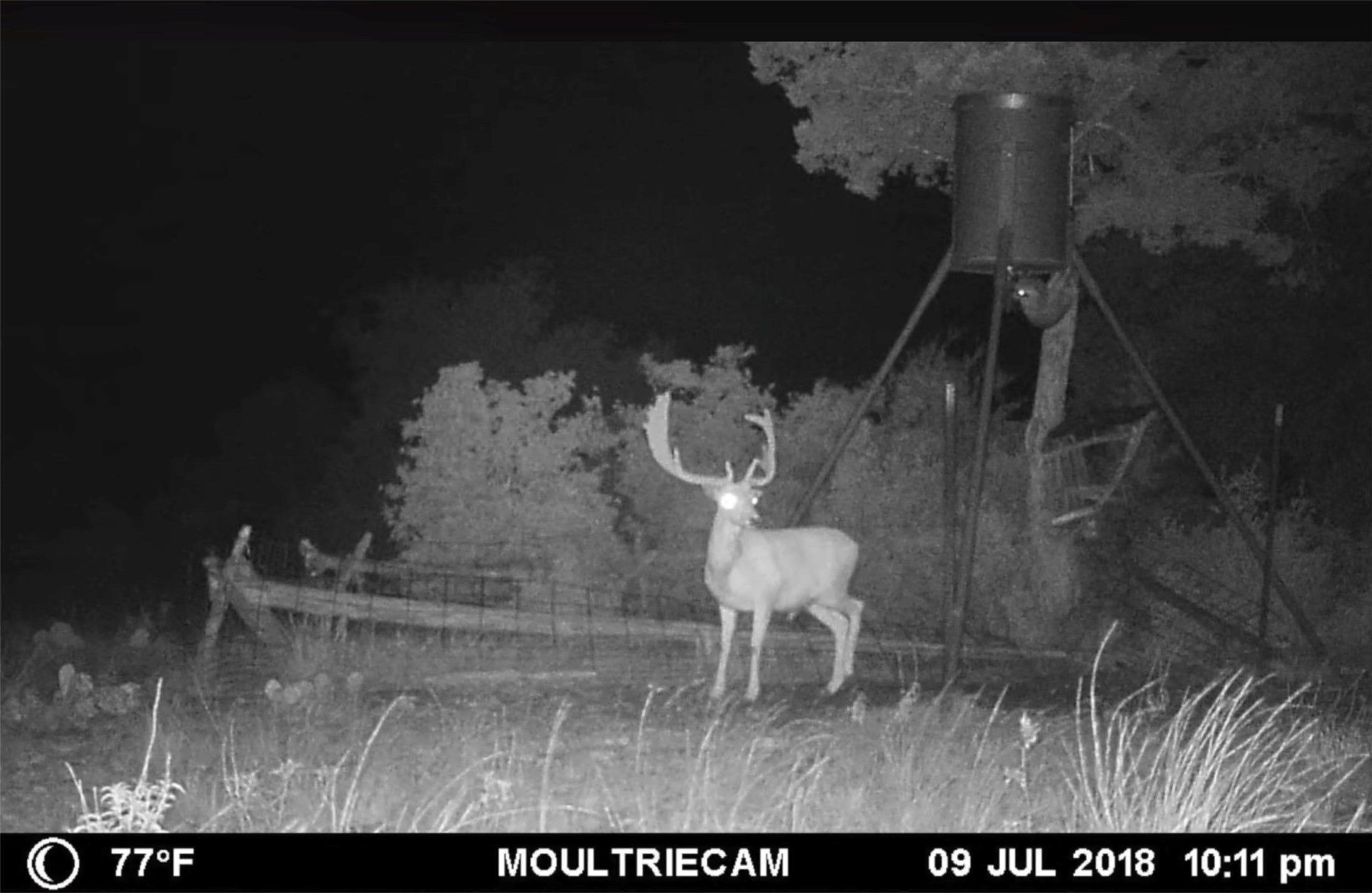 12391 SD 52000 Rocksprings, TX 78880 - Photo 30 of 48 a view of dining room with wooden floor