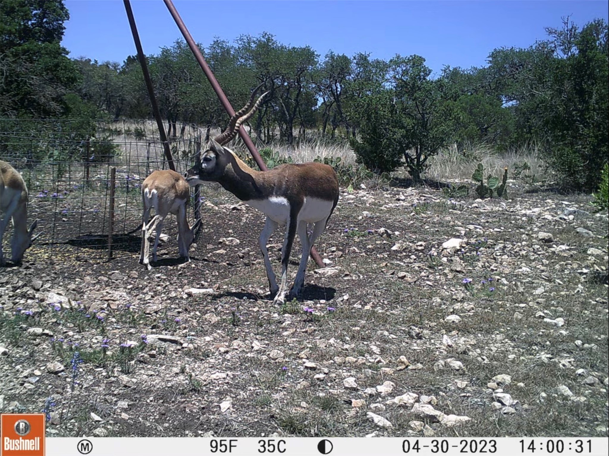 12391 SD 52000 Rocksprings, TX 78880 - Photo 32 of 48 a view of a park