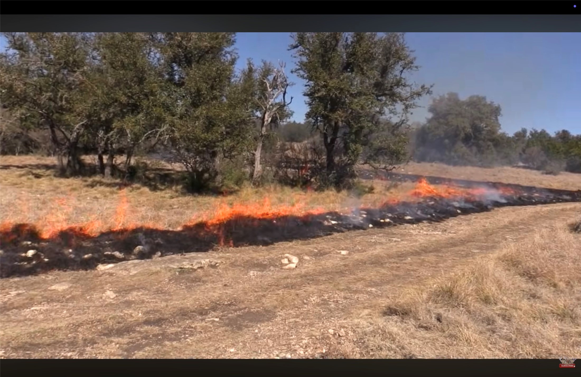 12391 SD 52000 Rocksprings, TX 78880 - Photo 34 of 48