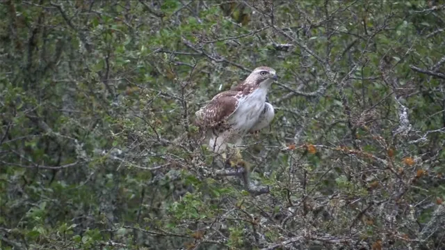 a view of an outdoor space with seating area