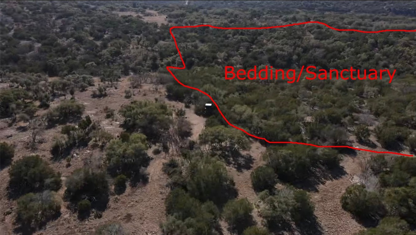 12391 SD 52000 Rocksprings, TX 78880 - Photo 4 of 45