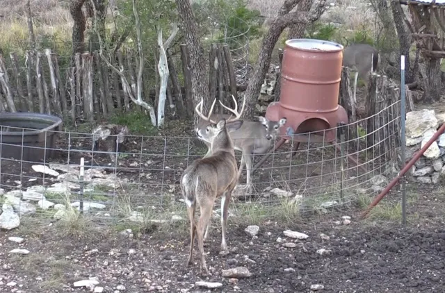 a front view of a house with a fountain