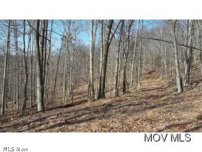 0 C Rd 21 Brohard, WV 26138 - Photo 7 of 11 Gallery Image 7