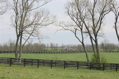 330 McNease Road Paris, KY 40361 - Photo 10 of 41 Photo 10