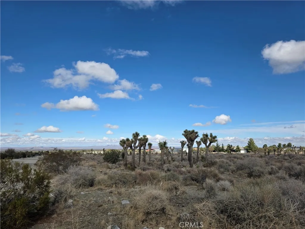 1 Goss Pinon Hills Pinon Hills, CA 92372 - Photo 2 of 7 a view of a city