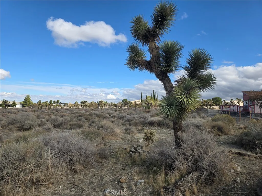 1 Goss Pinon Hills Pinon Hills, CA 92372 - Photo 3 of 7 a view of a dry yard with wooden fence