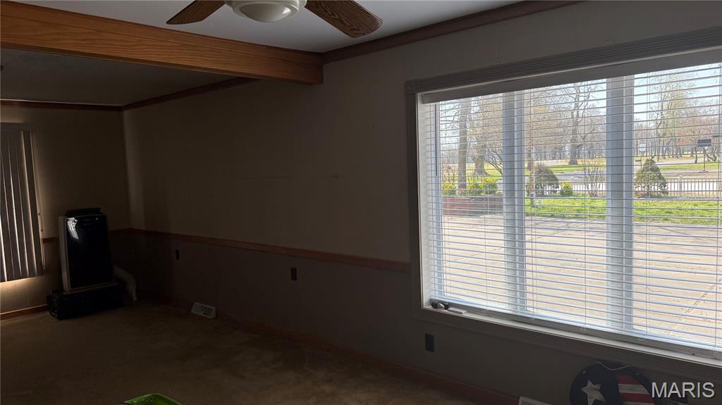 1325 Mill Street New Madrid, MO 63869 - Photo 28 of 35