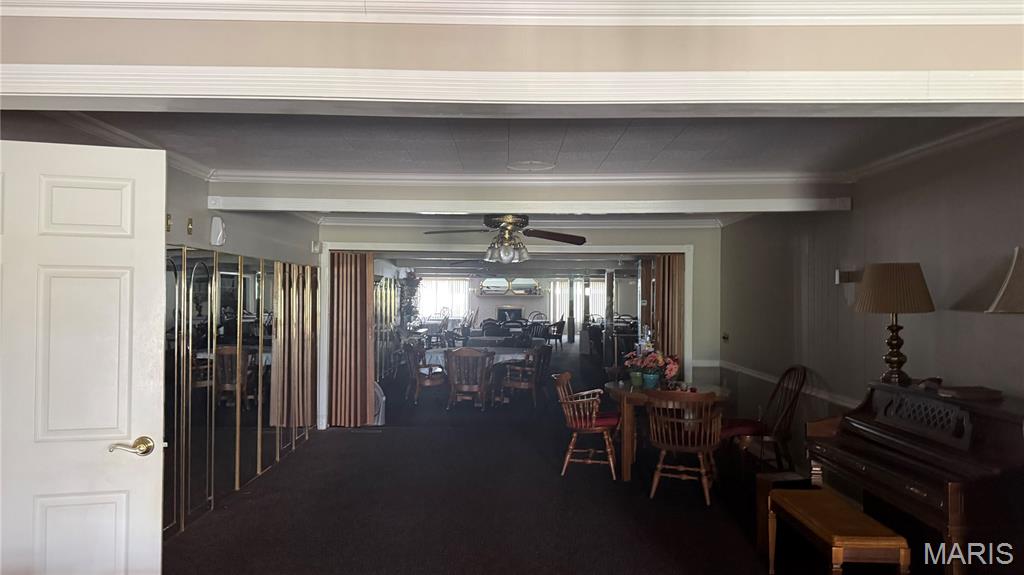1325 Mill Street New Madrid, MO 63869 - Photo 34 of 35