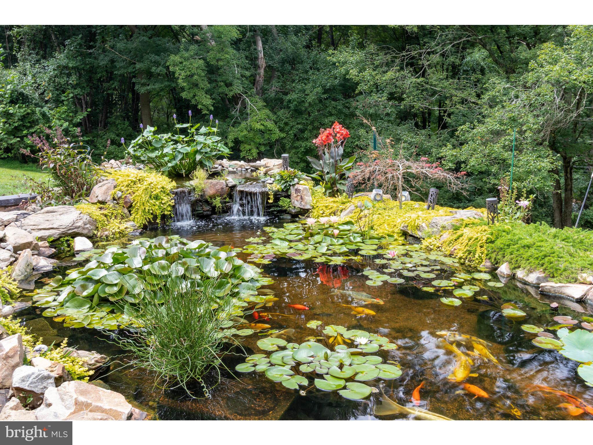 246 Chesterville Road Landenberg, PA 19350 - Photo 8 of 62 3000 Gallon Koi Pond
