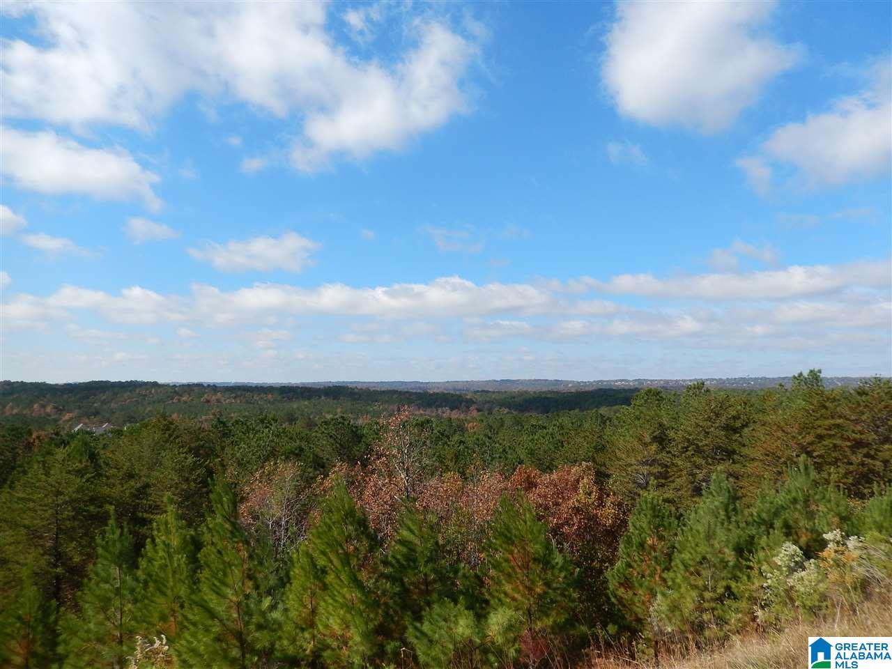 510 Rosebury Road Helena, AL 35080 - Photo 50 of 50